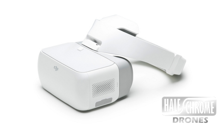 FPV Goggles