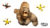 Best King Kong