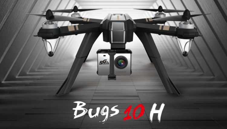 bugs 10h