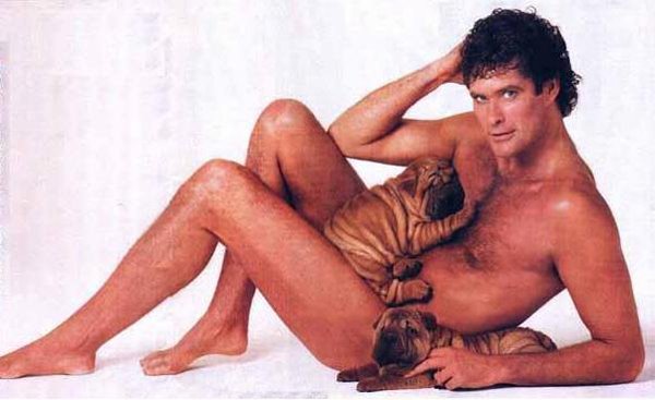 Hasselhoff with puppies