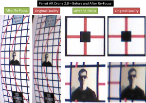 Parrot before and after